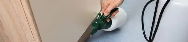 Bed bug exterminator treating baseboards and cracks with targeted spray in Worcester, MA
