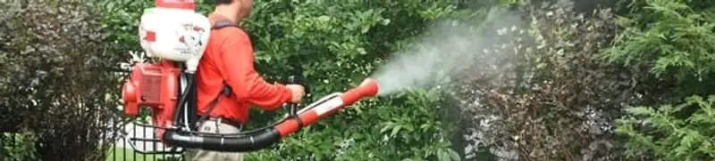 Mosquito control technician fogging shrubs and landscaping for mosquito treatment in Worcester, MA