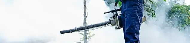 Pest control technician fogging an outdoor area for insect control in Worcester, MA