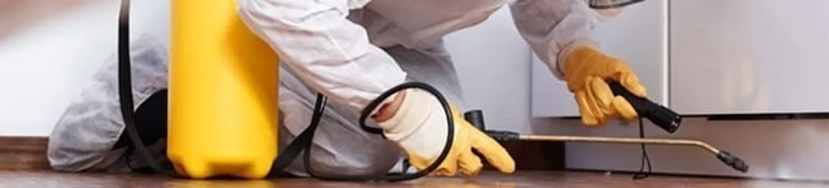 Roach exterminator treating cracks and crevices along kitchen baseboards in Worcester, MA
