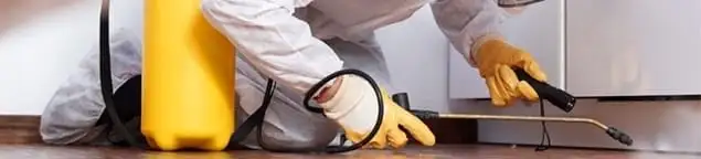Roach exterminator treating cracks and crevices along kitchen baseboards in Worcester, MA