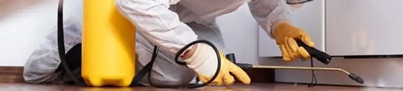 Roach exterminator treating cracks and crevices along kitchen baseboards in Worcester, MA