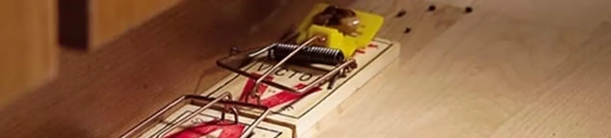 Rodent trap set indoors for rodent control and prevention in Worcester, MA