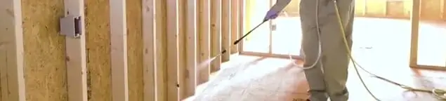 Termite treatment technician applying spray along framing and unfinished walls in Worcester, MA